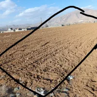 فروش زمین