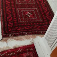 فرش  دست بافت۴ ×۳ کاشمر صحیح وسالم|فرش|مشهد, هنرستان|دیوار