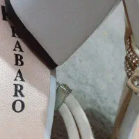 کفــش مجلسـی|کیف، کفش، کمربند|مسجد سلیمان, |دیوار