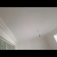 سفیدکاری ساختمان|خدمات پیشه و مهارت|نیریز, |دیوار