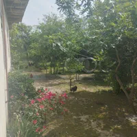 ویلا حیاط بزرگ نزدیک دریا وجنگل با تمام امکانات|اجارهٔ کوتاهمدت ویلا و باغ|تالش, طولارود|دیوار