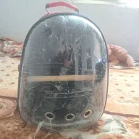 کوله حمله حیوان