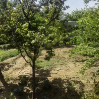 زمین فروشی سخوید