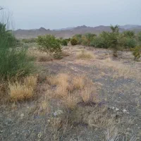 بارگاه-روبه-رو-115کنار-اتوبان-کهنوج-بندر