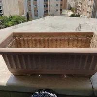 دو عدد گلدان با زیر گلدانی اش|گل و گیاه طبیعی|اصفهان, شیخ اشراق|دیوار