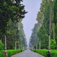 استخدام پرسنل خانم در رامسر