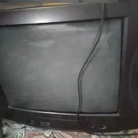 تلویزیون