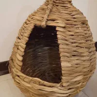 هایدباکس چوبی گربه