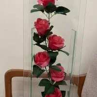 باکس گل شیشه ای