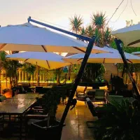 کارگر قهوه خانه در کافه رستوران