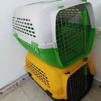 باکس  سگ‌ پاکوتاه جنس خوب