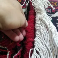 فرش دستباف اعلی|فرش|بناب, |دیوار