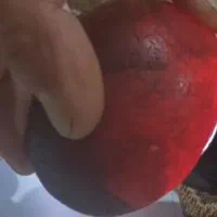 سنگ جواهری قرمز گبری کهنه قدیمی الماس یاقوت یشم|جواهرات|سنندج, |دیوار