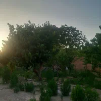 مسکونی-ویلایی