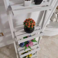 استند همراه گلدان‌ها|گل مصنوعی|بندر انزلی, انقلاب|دیوار