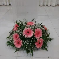 گل طبیعی|گل و گیاه طبیعی|رشت, عینک|دیوار