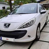 207 پاناروما 401
