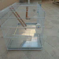 قفس بزرگ فلزی نو با وسایل|لوازم جانبی حیوانات|لار, |دیوار