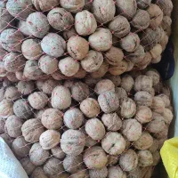 آجیل بادام زمینی بادام درختی گردو مغز گردو انجیر|خوردنی و آشامیدنی|قم, زنبیل آباد|دیوار