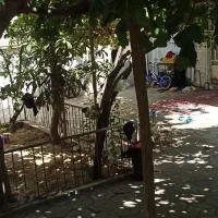 فروش خانه ویلایی ۲۳۸ متری ۳ خوابه در شهرک بهار|فروش خانه و ویلا|شیراز, شهرک بهار|دیوار