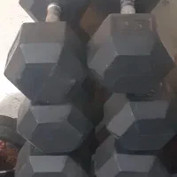 دمبل و هالتر