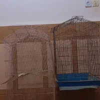 چهارعدد قفس در سوسنگرد