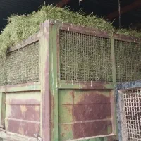 یونجه|لوازم جانبی حیوانات|بیستون, |دیوار