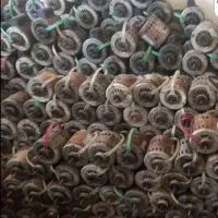 سرویس کولر آبی تعمیر دینام کولر سیم پیچی پمپ آب