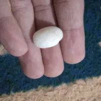 سنگ آسیاب|جواهرات|ایذه, |دیوار