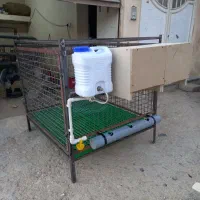 قفس مرغ و خروس و انواع طیور