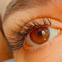 آموزش و خدمات کاشت مژه اکستنشن مژه و لیفت ابرو مژه