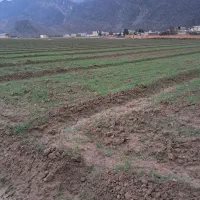 فروش زمین گلخانه خانه فاروق