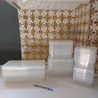ظروف نظم دهنده