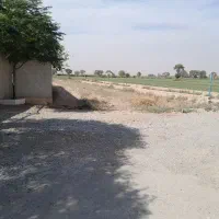 زمین|فروش دفتر صنعتی، کشاورزی، تجاری|جوادآباد, |دیوار