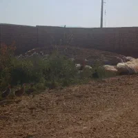 دامداری|فروش دفتر صنعتی، کشاورزی، تجاری|قوچان, |دیوار