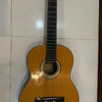 گیتار بست فان