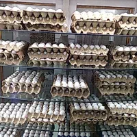 یخچال مغازه|فروشگاه و مغازه|شیروان (خراسان), |دیوار