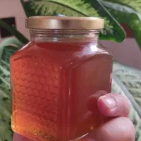 عسل چند گیاه به شرط