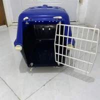 وسایل واجب گربه|لوازم جانبی حیوانات|مشهد, امیریه|دیوار