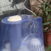 بخورسرد