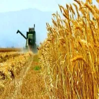 فروش فوری با قیمت فوق العاده