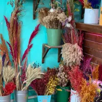 فروش اجناس مغازه