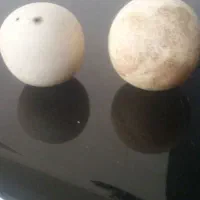 سلام سنگ الماس|کلکسیون اشیاء عتیقه|مشهد, ثامن|دیوار