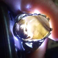 انگشتر