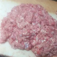 بچه فیله