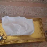جا دستمال کاغذی و سطل