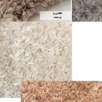 نمایندگی پخش موکت شرکت ظریف مصور