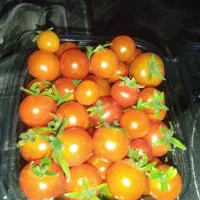 گوجه گیلاسی