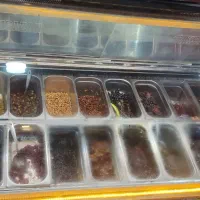 یخچال بستنی اسکوپی