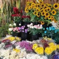 کار در گل فروشی